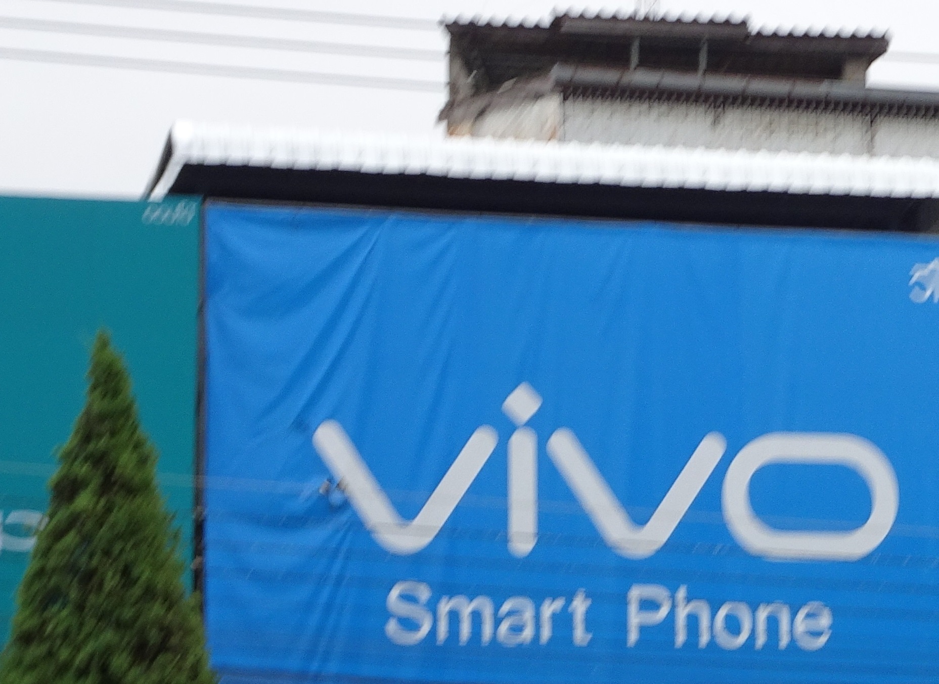 VIVO